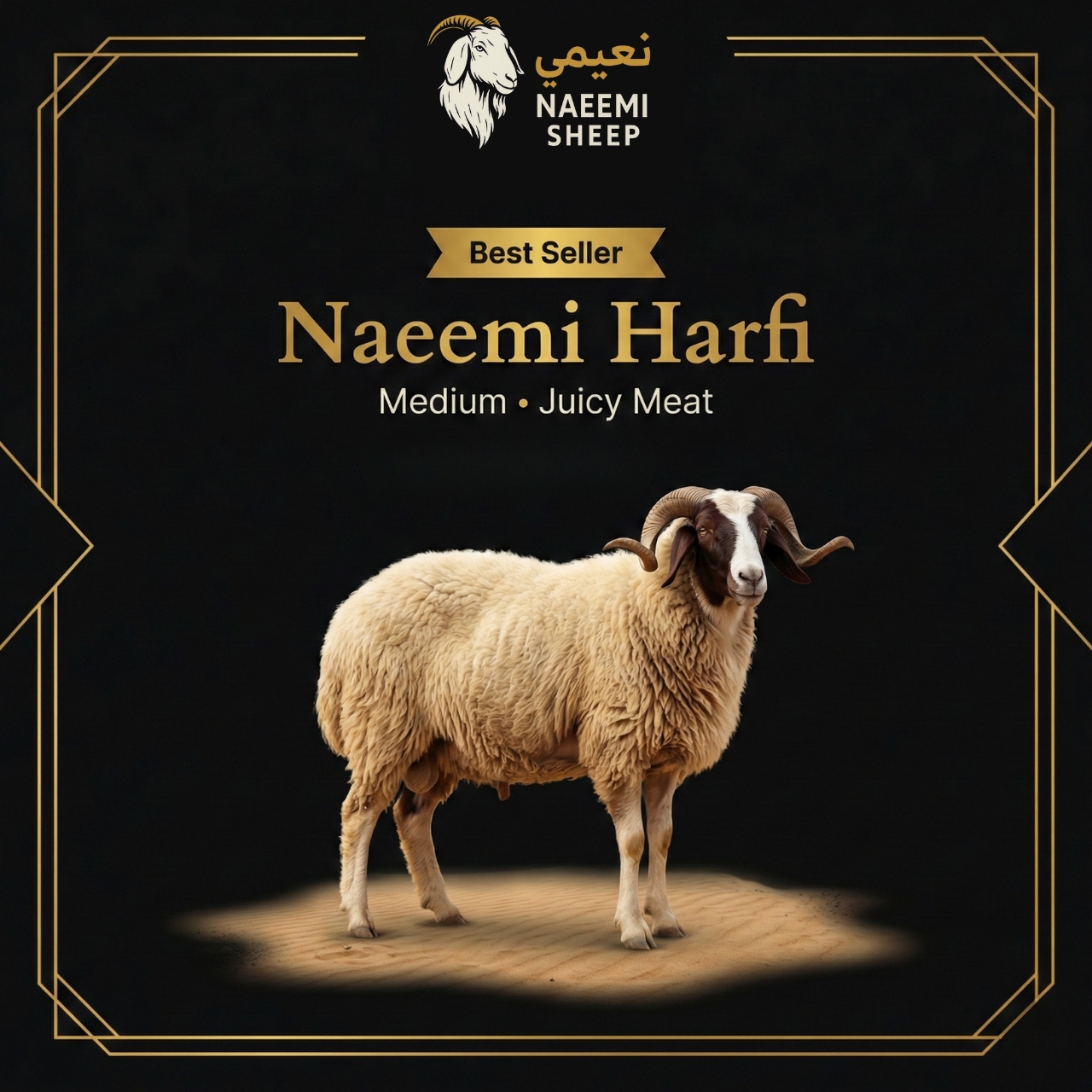 Whole Harfi Naeemi Sheep