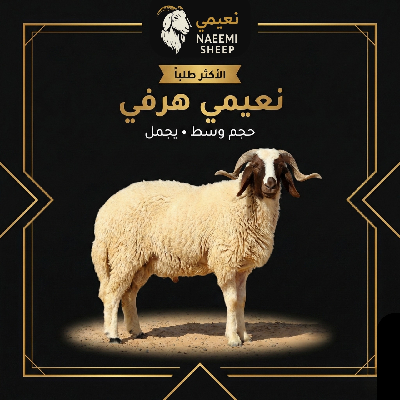 خروف نعيمي هرفي كامل